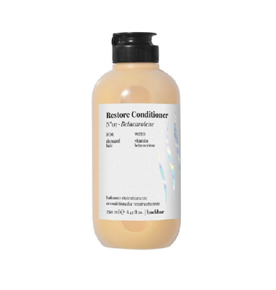 Imagen de Back bar restore conditioner 250ml